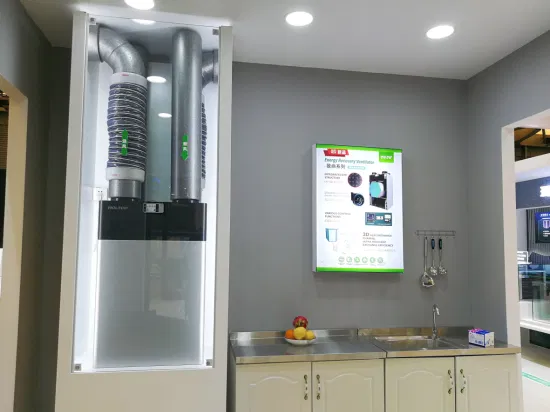 Holtop 中国工場夕食高効率向流熱交換器熱回収器 Phe